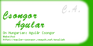 csongor agular business card